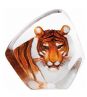 Tiger - Click for more Info
